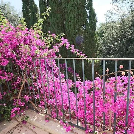 Bed and Breakfast Relais Delle Rose 2*